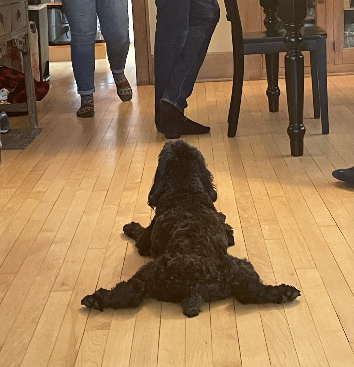 livvylyst's tweet photo. This is a sploot. https://t.co/CA8VqoDD3I