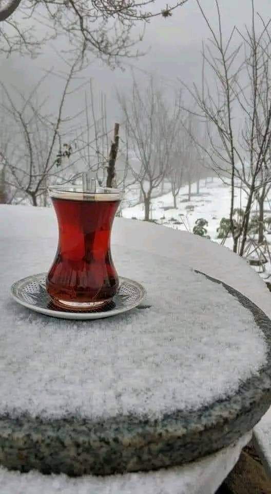 tuncererol1's tweet photo. HERKES
Kendi Yüreğinde
________ Yaşar #Mevsimini.
Ne Senin #Kışın
________ Başkasını #Üşütür,
Ne de #Başkasının Yazı
________Seni #Isıtır...!
❤️❤️❤️
Mutlu Pazarlar Dostlar 🤗
#Günaydın
#Mutlupazarlar
#Ankara https://t.co/lfXpTssy1X