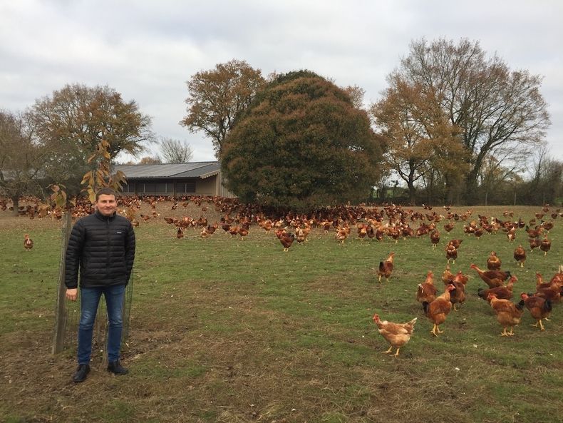 F_Desouche's tweet photo. Volaille française : la fin à venir des labels qualité comme le Label Rouge qui font de l'ombre aux lobbys industriels. La Commission Européenne va changer les règles avec l'aval de l'Élysée
https://t.co/HOgyfCxkxt https://t.co/m7lWSvVkVa