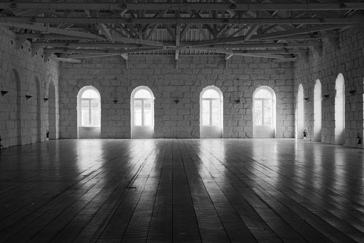 archillect's tweet image. 