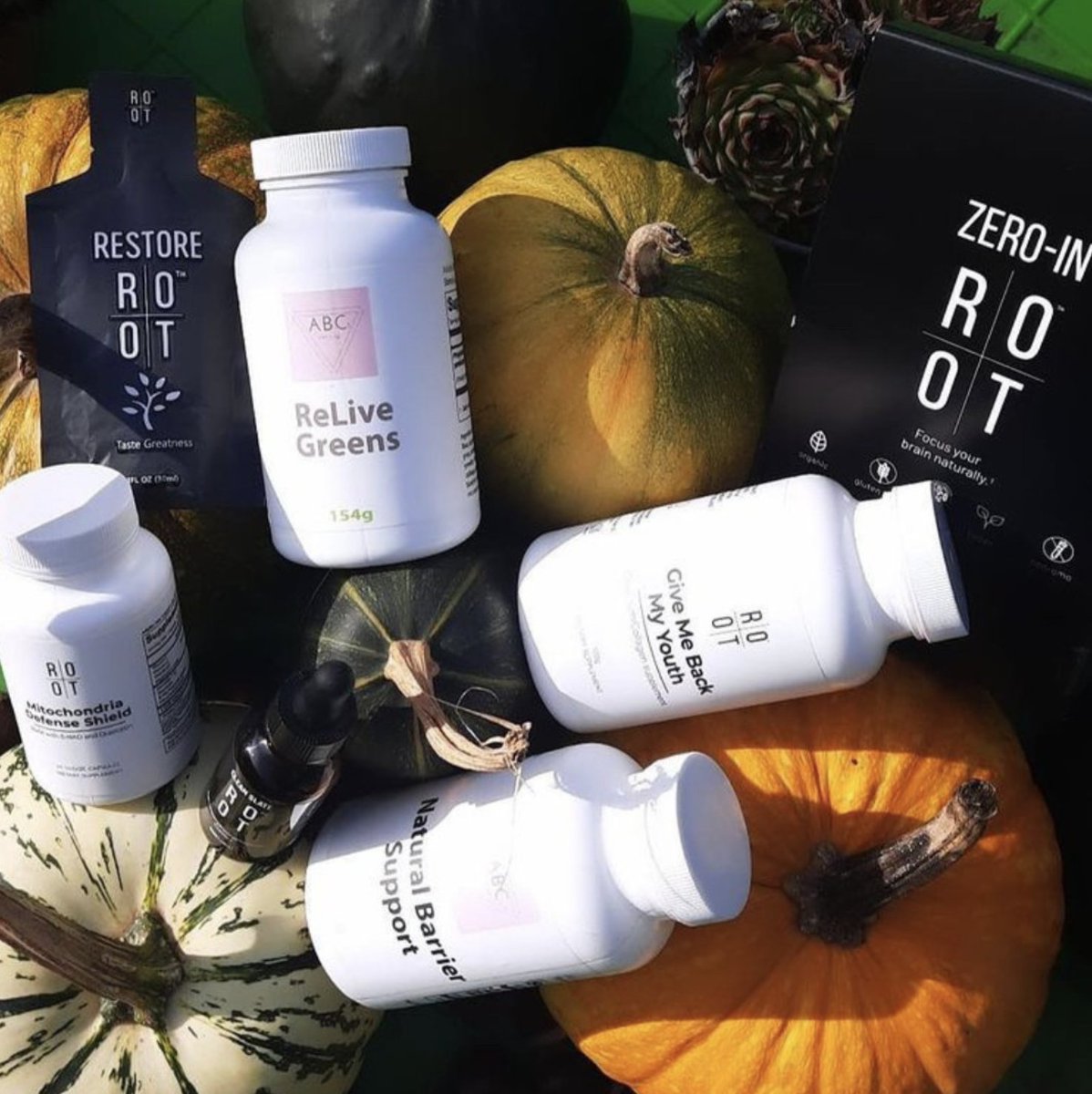 _Rootlium_'s tweet image. Pumpkins are full of valuable nutrients, are high in antioxidants, and are linked to reducing the risk of certain cancers. We'd say that's a win for us🤷‍♀️

#pumpkins #TheRootBrand #gettotheroot #newproduct #mitochondriadefenseshield #organic #vegan #glutenfree #health #allnatural