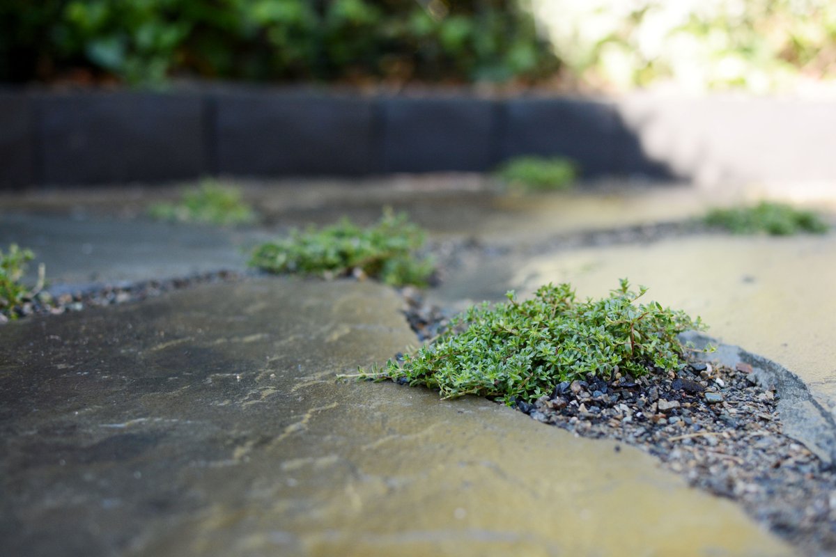 The Peoples Gardening Collective tweet media