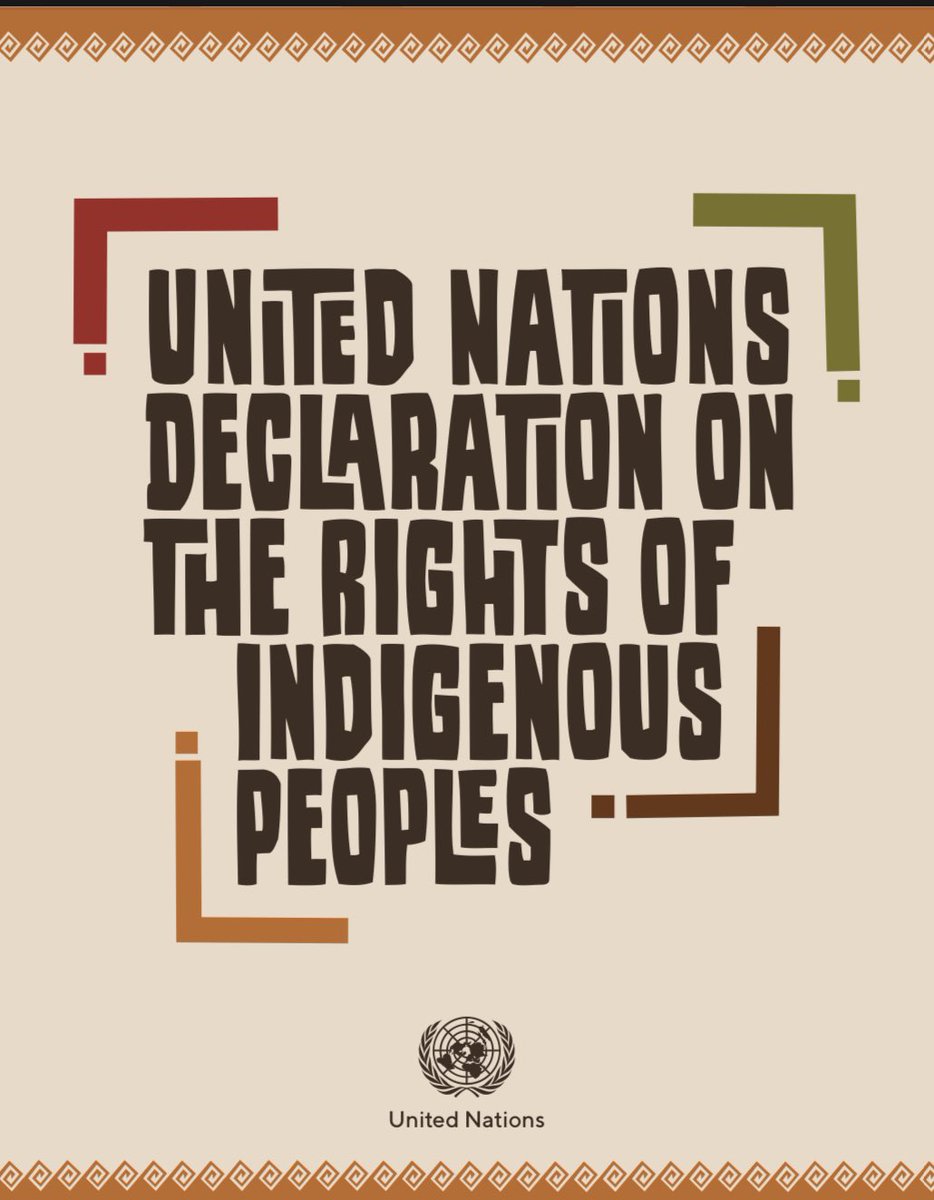 Many States still need to do much more in recognising the powerful UNDRIP 2007 declaration for Indigenous People Globally.

Done correctly, this declaration is a powerful tool To assert your indigenous Rights Globally in member States.  #indigenousrights
un.org/development/de…