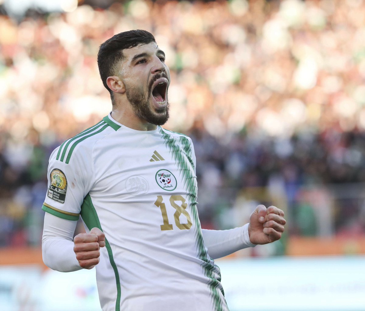 La Vague Verte ⭐️🇩🇿⭐️ tweet media