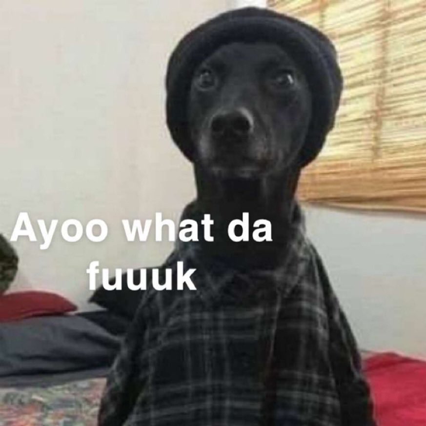 Barstool IU on Twitter