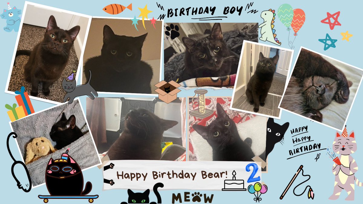 It’s my 2nd birthday!!! #cat #CatsOfTwitter #CatsOnTwitter #cats #blackcats #BlackCat #HappyBirthday #meow #petsoftwitter #blackcatsoftwitter