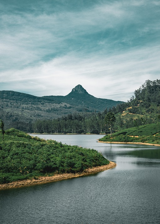 Teafobia's tweet photo. Concerned about the environment, harmful pesticides and soil fertilisers? Then this is the uniquely, ozone-friendly country where your tea should be from. Looks beautiful doesn't it? 
https://t.co/TcPSImwlQF https://t.co/r3OfqD9iwB