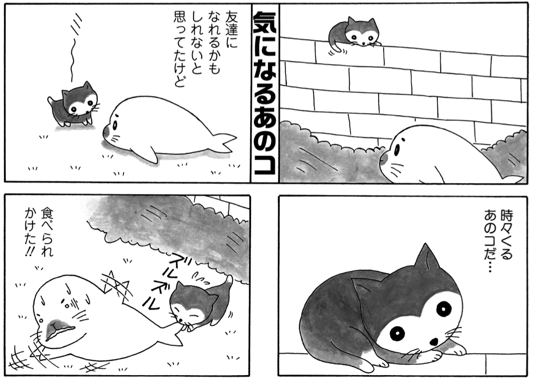 ネコとゴマちゃんが仲良くしてる画像募集。 ゴマちゃんのぬいぐるみ