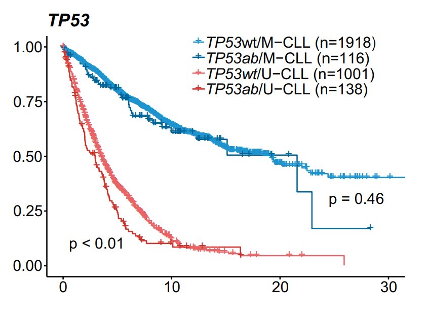 👉👉Important analysis from ERIC group in CLL (published in Leukemia) 

Time-to-first-Treatment (TTFT) for most somatic mutations is highly dependent on IGHV status

👉TP53ab (mut and/or del17p) with IGHV-M: 10+ yr TTFT !!!

#leusm #CLLsm 

nature.com/articles/s4137…