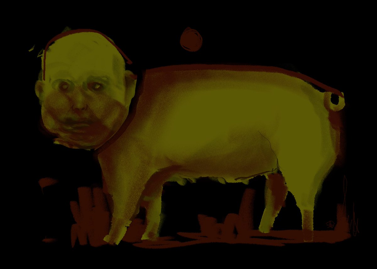 I have the body of a pig