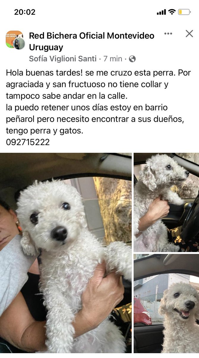 Adriana (@adriana43587622) on Twitter photo 