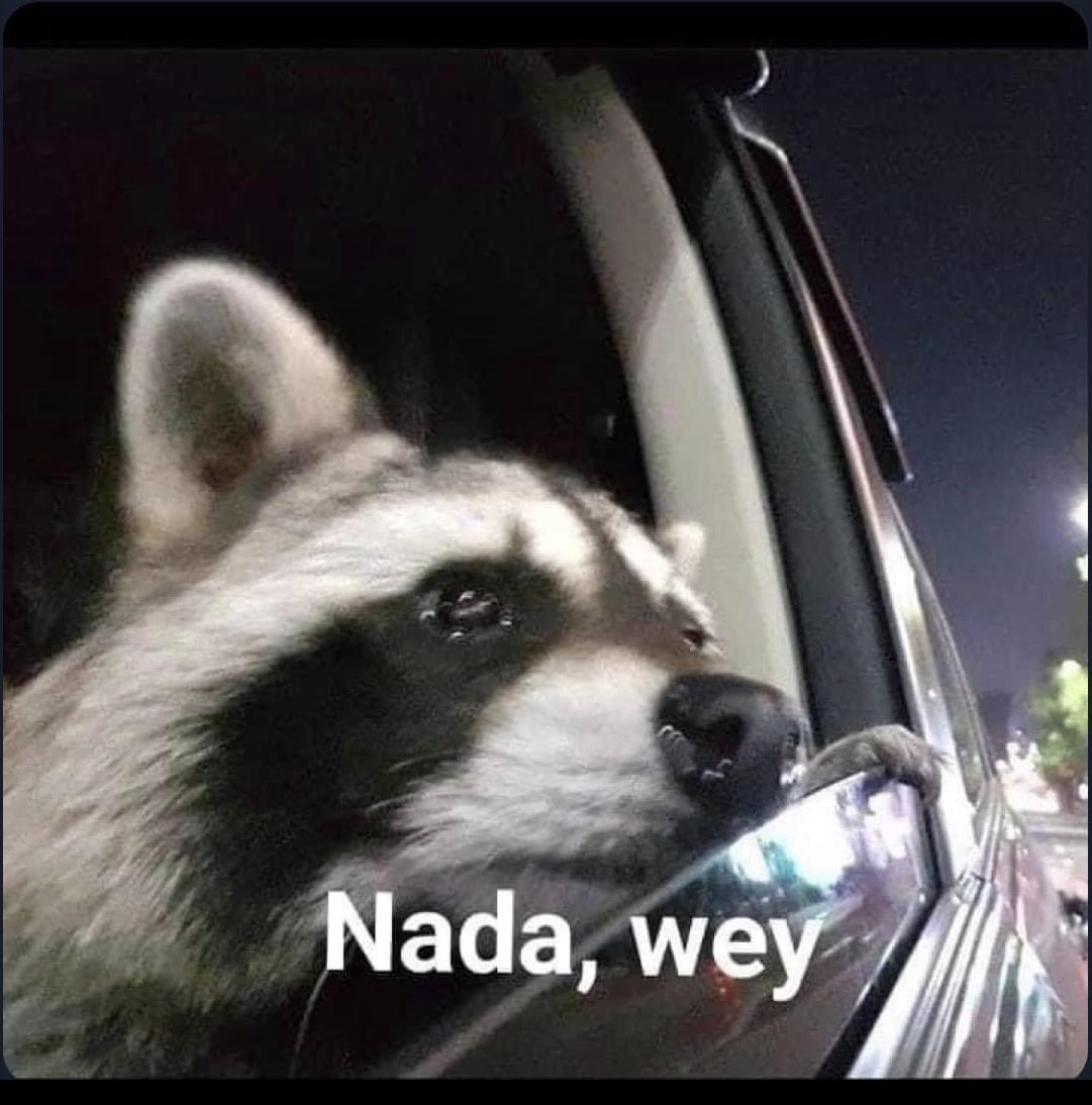 - Mi compa: ¿qué tienes? - Yo saliendo del mejor concierto de mi vida: