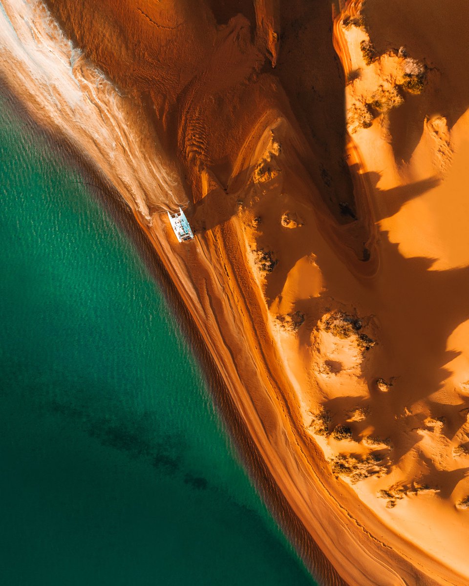 Merr Watson tweet media