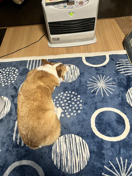 おはようございます。 