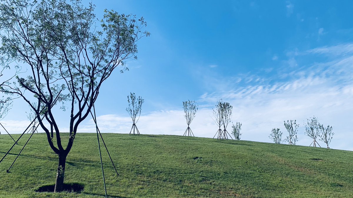 nonsense115's tweet photo. 等待花儿开 https://t.co/IYjpf9bUOt