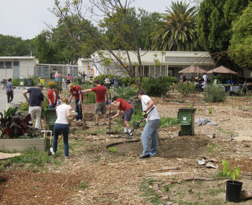 School Garden Grants. Get yours today!
schoolgardenweekly.com/school-garden-…
#schoolgarden #climateliteracy