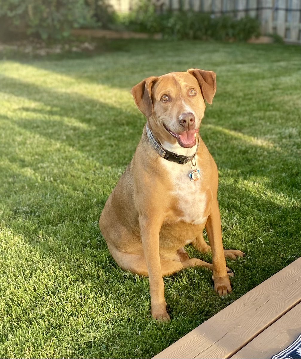 Emily Synnott tweet media