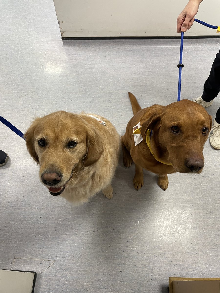 Deborah Elliott tweet media