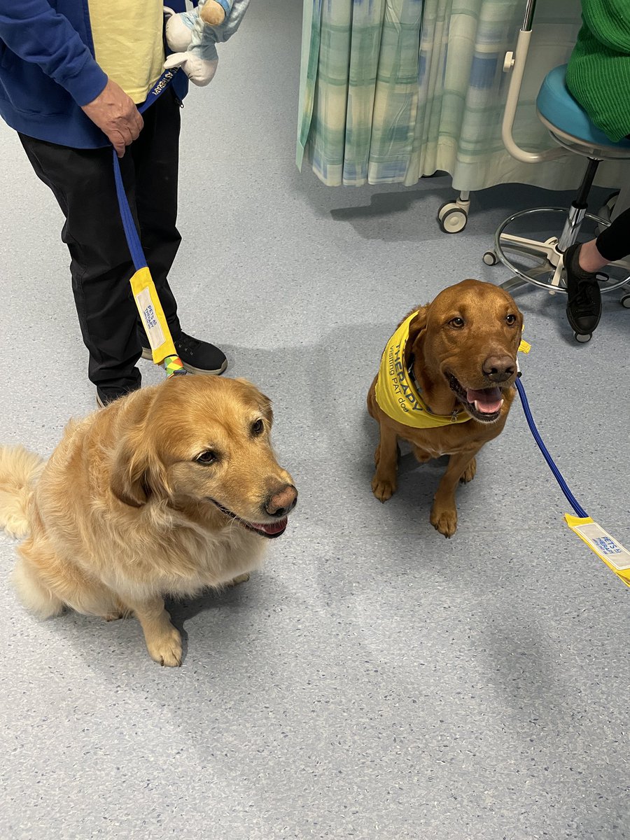 Deborah Elliott tweet media