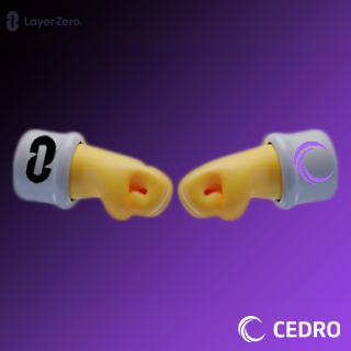Oriorion15's tweet photo. @cedro_finance @LayerZero_Labs https://t.co/jCynE99R44