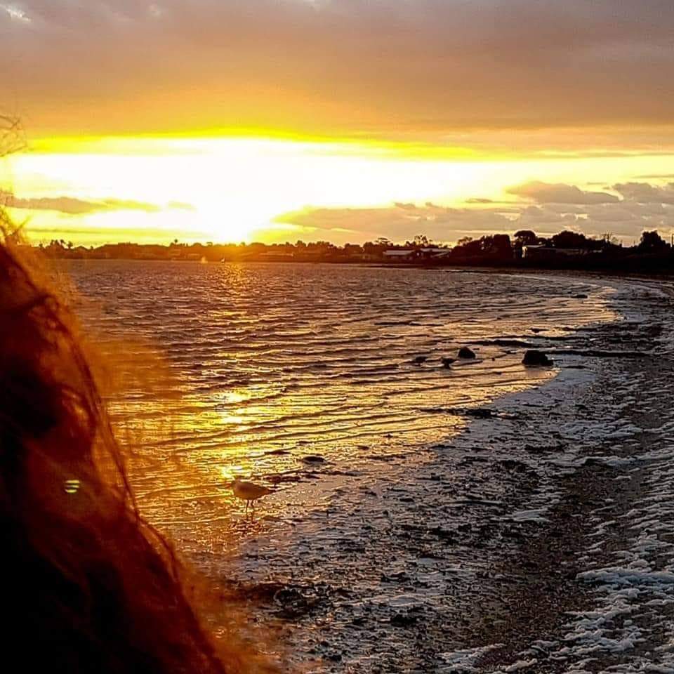 heltweet's tweet photo. Idleness and #slothfulness stole her creative years: not her traits
Another's
A husband with both Stole her youth
After long years working to feed & keep the family
In middle age she took back her life
#writing
Painting, #making #studying
Living
#poetry #story
#vss365 #AusWrites https://t.co/XK16CeSTLb