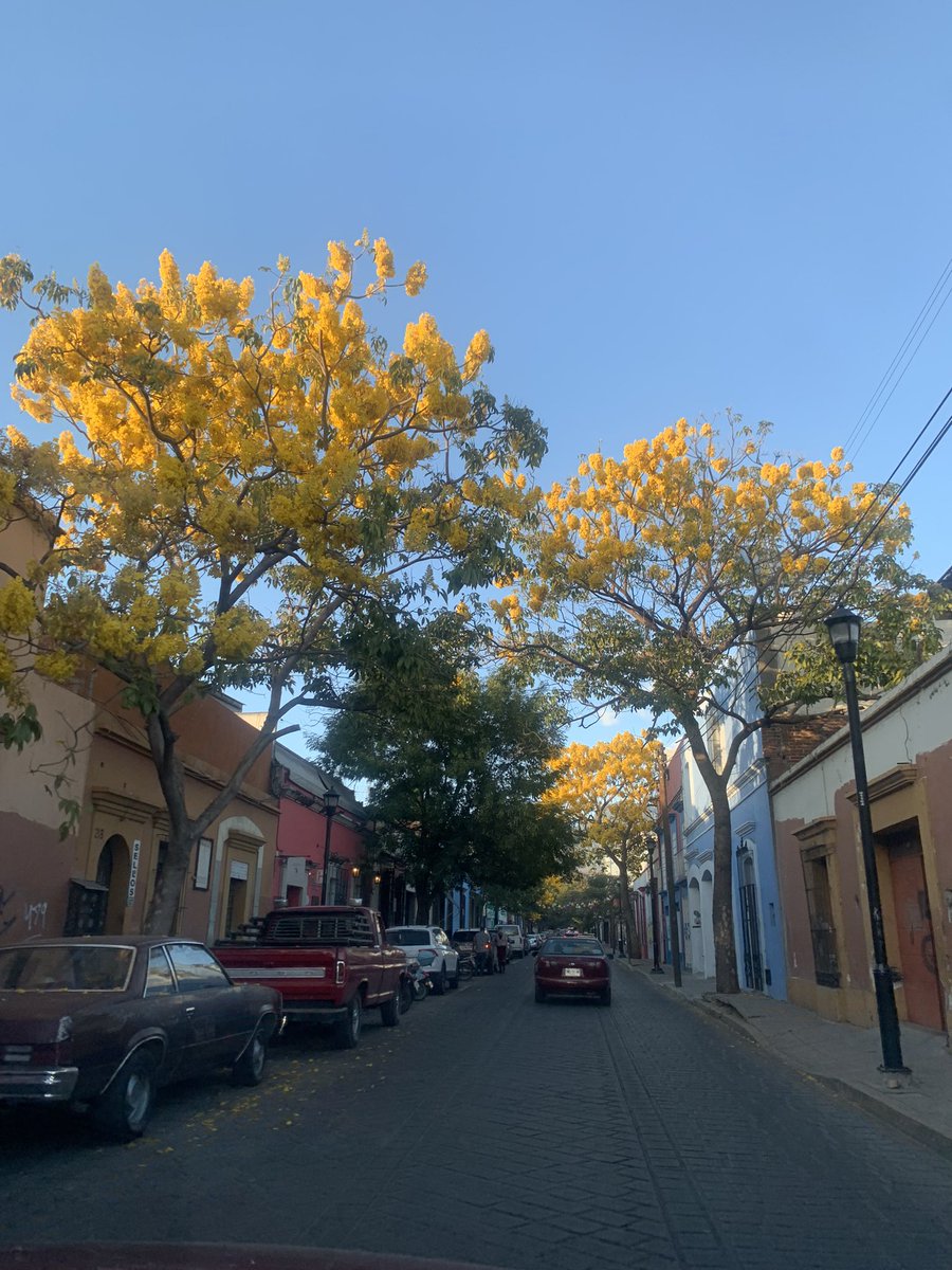 mayramendozas's tweet photo. Tardes en #Oaxaca 😉 y estas vistas hermosas https://t.co/tEeeTi0s6Q