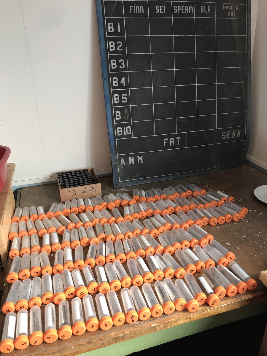 Two weeks of field work 🪲🧪 on #southgeorgia on this table…and a bit of whaling history!