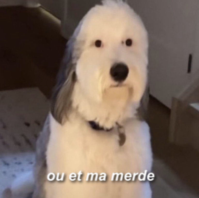 mrchonks's tweet photo. il a perdu sa merde https://t.co/NnJhosOVYT