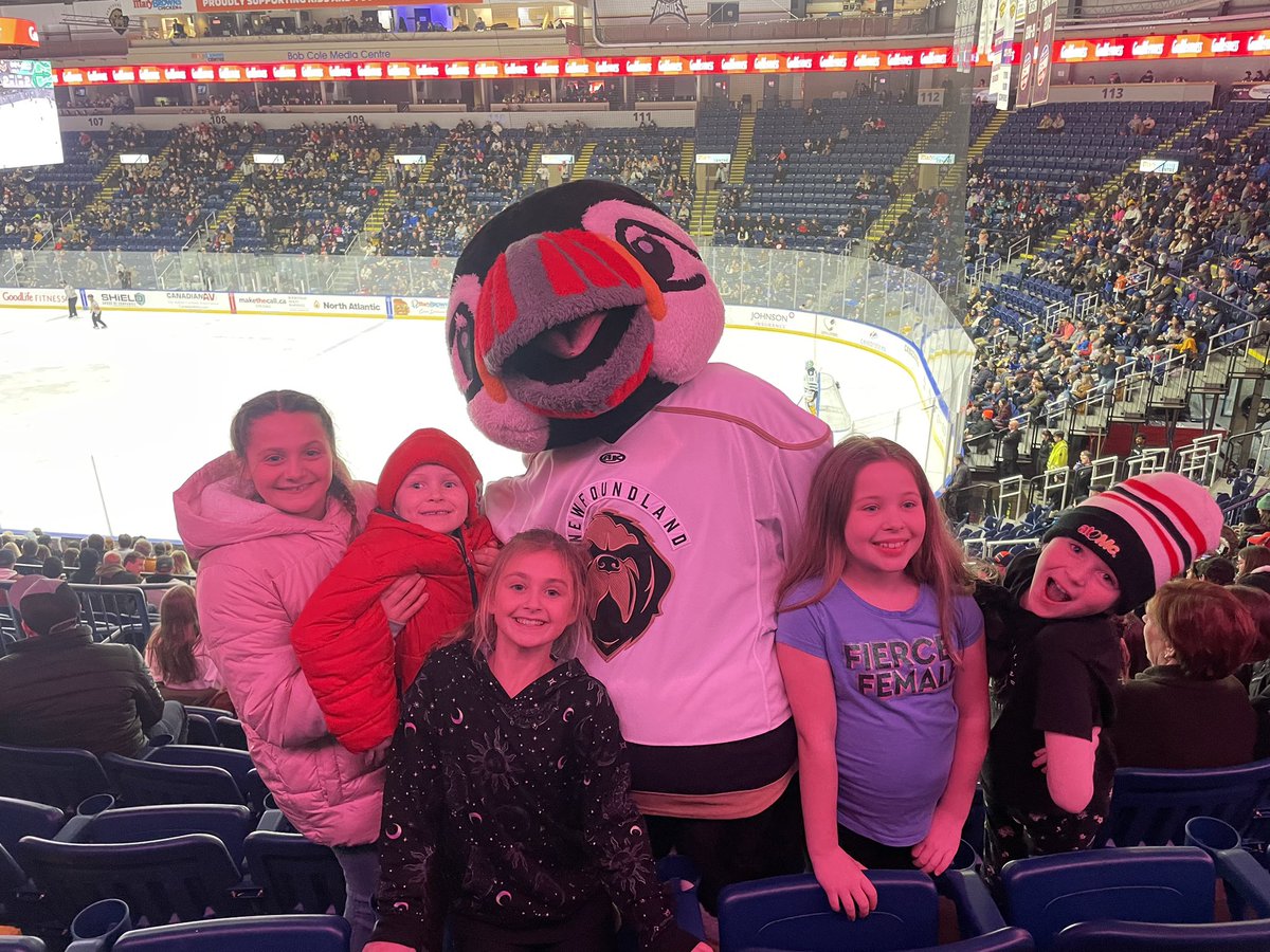 tlmurphy5's tweet photo. We love @Buddy_ThePuffin https://t.co/1mEXFXCB7D