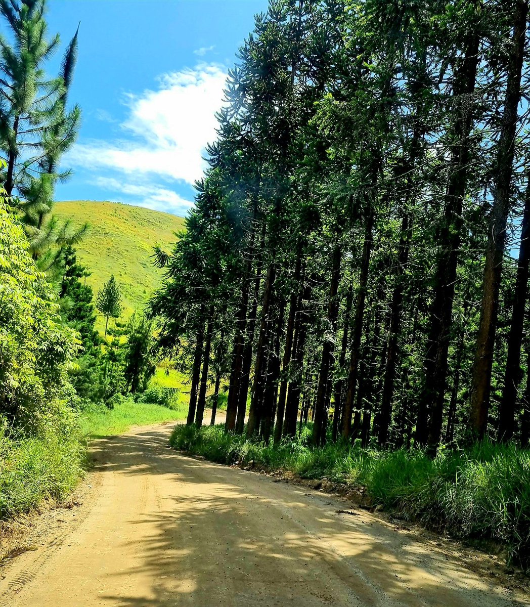 nlsnnombri's tweet photo. Access road to Wau | Wau Waria District | 22.01.23
#morobefeeling #wau #wauwaria #sunnyday #green #blue #accessroad https://t.co/fG5HwJKz0L