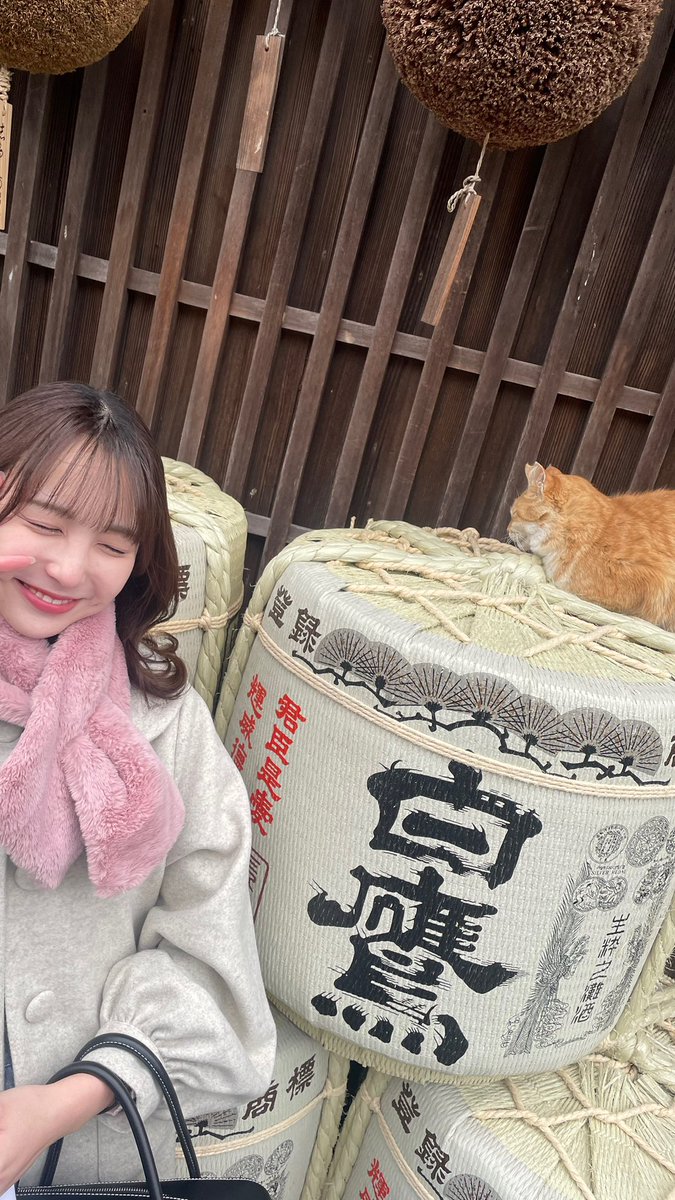 大幅お値下げ致しました❣️ぷっくりお座りにゃんこ♡ 水晶 ⭐️サクラ耳ちゃん♡ 夏目友人帳 ニャンコ先生のっかりマグカップ【夏目友人帳 アニメ公式