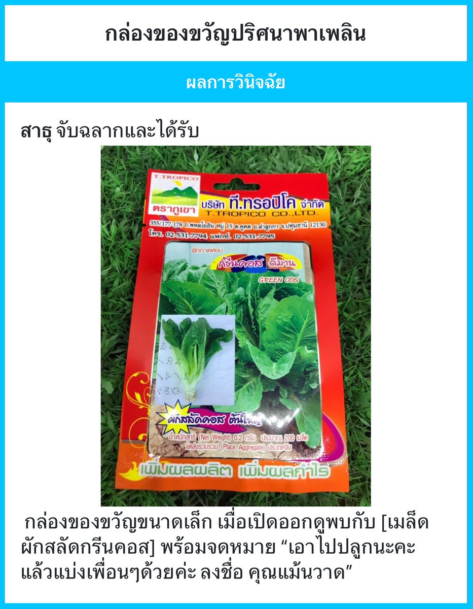 SWS_Sathu's tweet photo. “…”

‘นี่มัน…ของดีนี่!!!!!!’

“ผมรักอาจารย์แม้นวาดที่สุดเลยครับบบบบ💕✨”

พูดออกมาพร้อมกับชูของที่ได้ขึ้นแล้วหมุนๆ อยู่อย่างนั้นด้วยความดีใจ
คนชอบปลูกผักสุ่มได้เมล็ดผักโดยที่ไม่ต้องไปซื้อเองใครมันจะไม่ดีใจกันล่ะ! https://t.co/wYk1xU6f7T