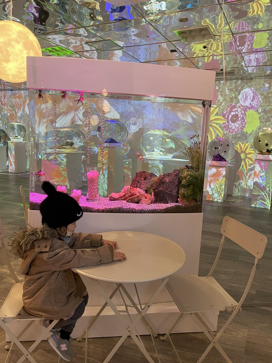 AlohaLei1230's tweet photo. 今日はミナーラにある金魚ミュージアムにあそびにきました♡
こんな近場にこんな素敵な所があったなんて🥹❤️
 #金魚 #金魚ミュージアム #ミナーラ4階 https://t.co/0yyxCTTLgs