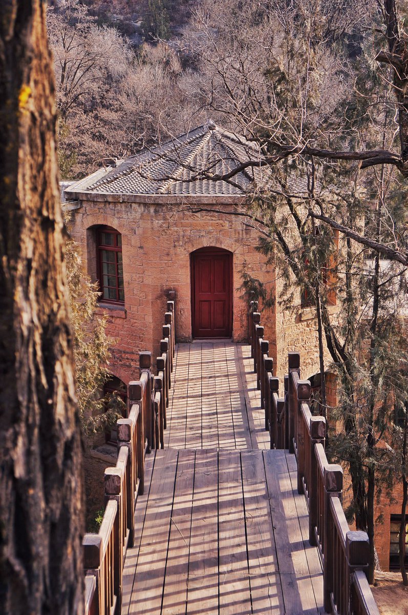 Wei zifu (@weizifu_) on Twitter photo 
