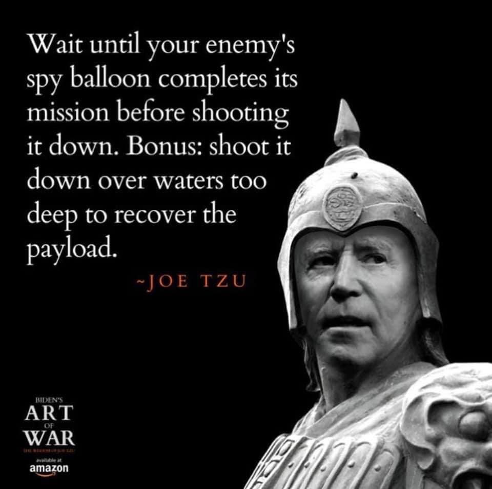 Sylvanis13's tweet image. #SpyBalloonTracker Let’s Go Brandon!