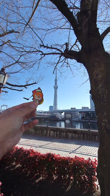 りんちゃん…スカイツリーだよ 