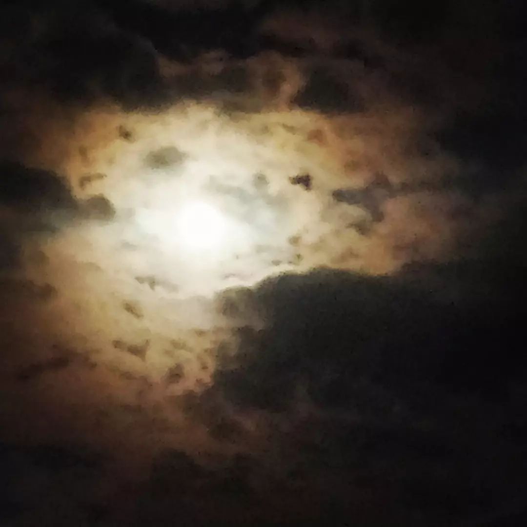 ch3ckf0ldnutz's tweet photo. #Blackmoon #HellinParadise https://t.co/aGjbfq2X0l