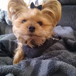 Photo by Cooper's mommy Christi (@bchristilynn)