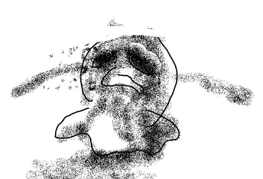 chanh | hiatus tweet media