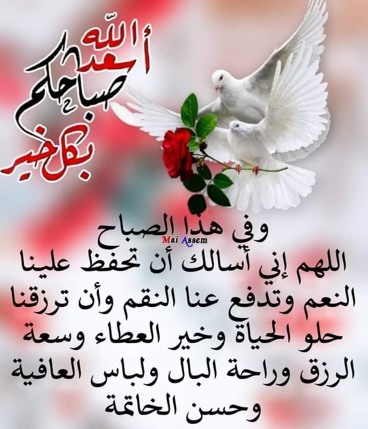 Anas (@abu_malik84) on Twitter photo 