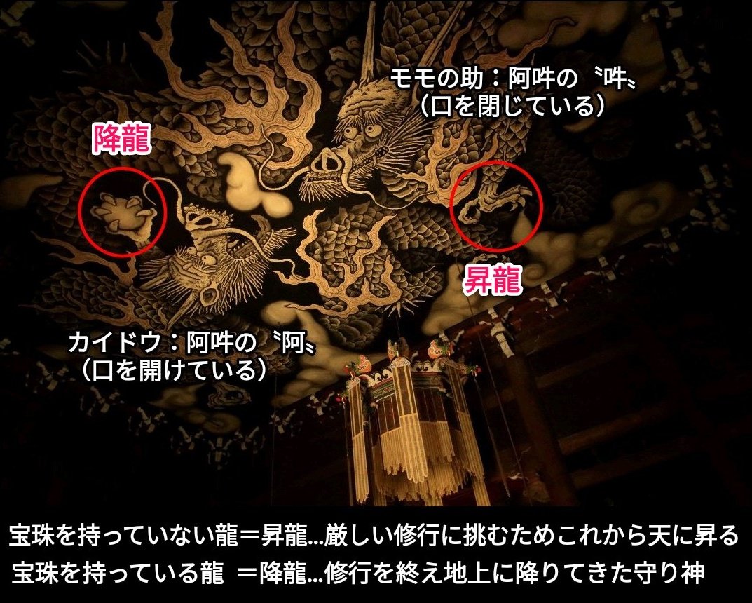 mana__'s tweet photo. 双龍図の構図、「口を開ける」「口を閉じる」の〝阿吽 (あうん)〟などもちゃんと描写されているのが良いんだよなあ
#アニワン #onepiece https://t.co/RMFoYDEbPk