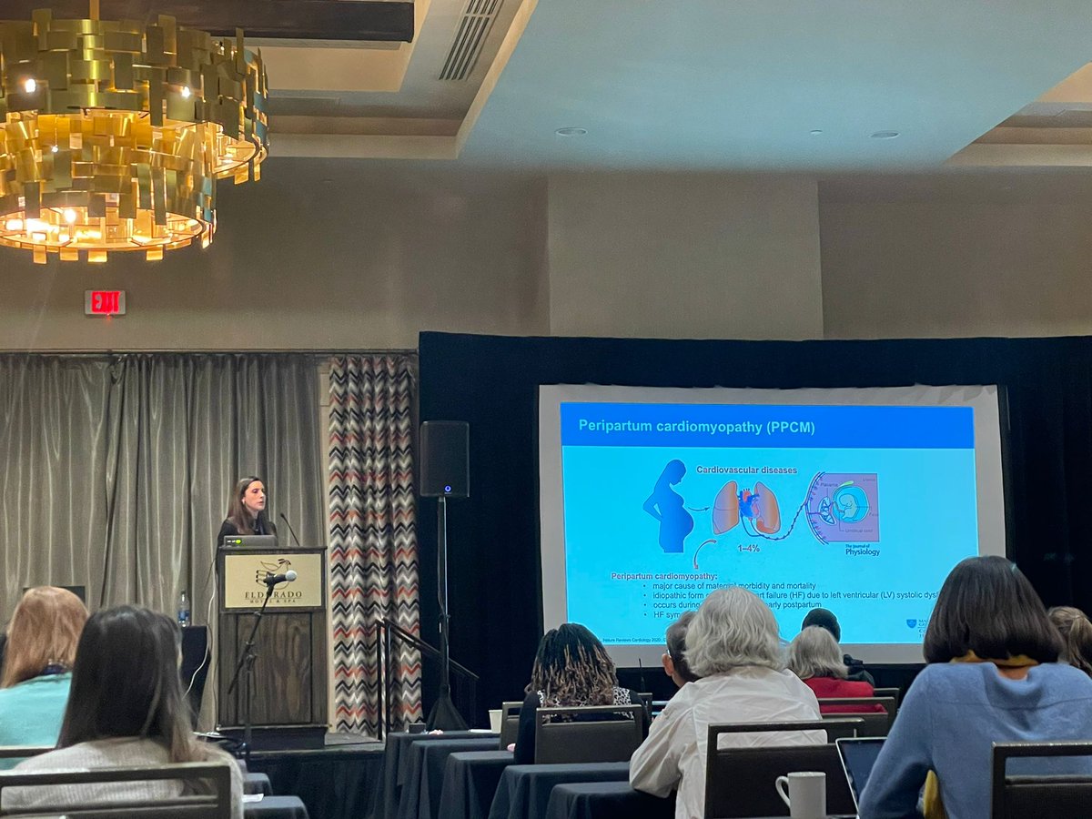 I had the incredible opportunity last month to present my work with Jason Roh and @rosenzweig_a on senescence in peripartum cardiomyopathy at #KSMATERNALFETAL23. Thank you @KeystoneSymp for this great conference, the exciting presentations and interactions. @MassGeneralCVRC