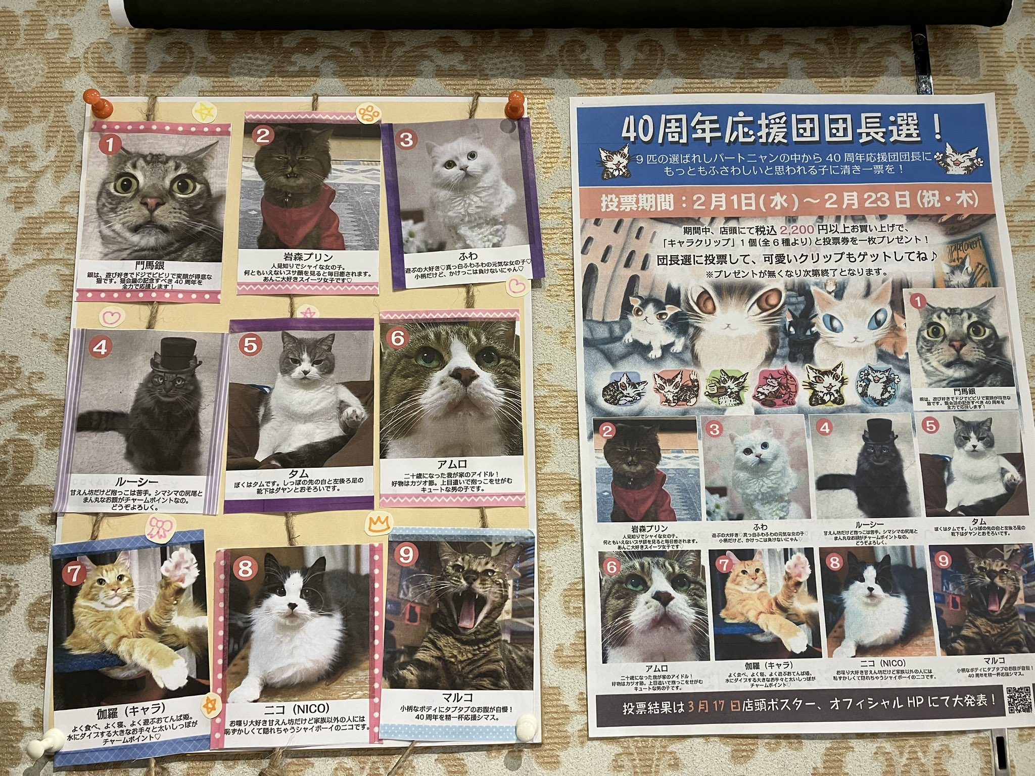 宅配 わちふぃーるど タシルランプ タシルランプ#2 赤屋根 ダヤン