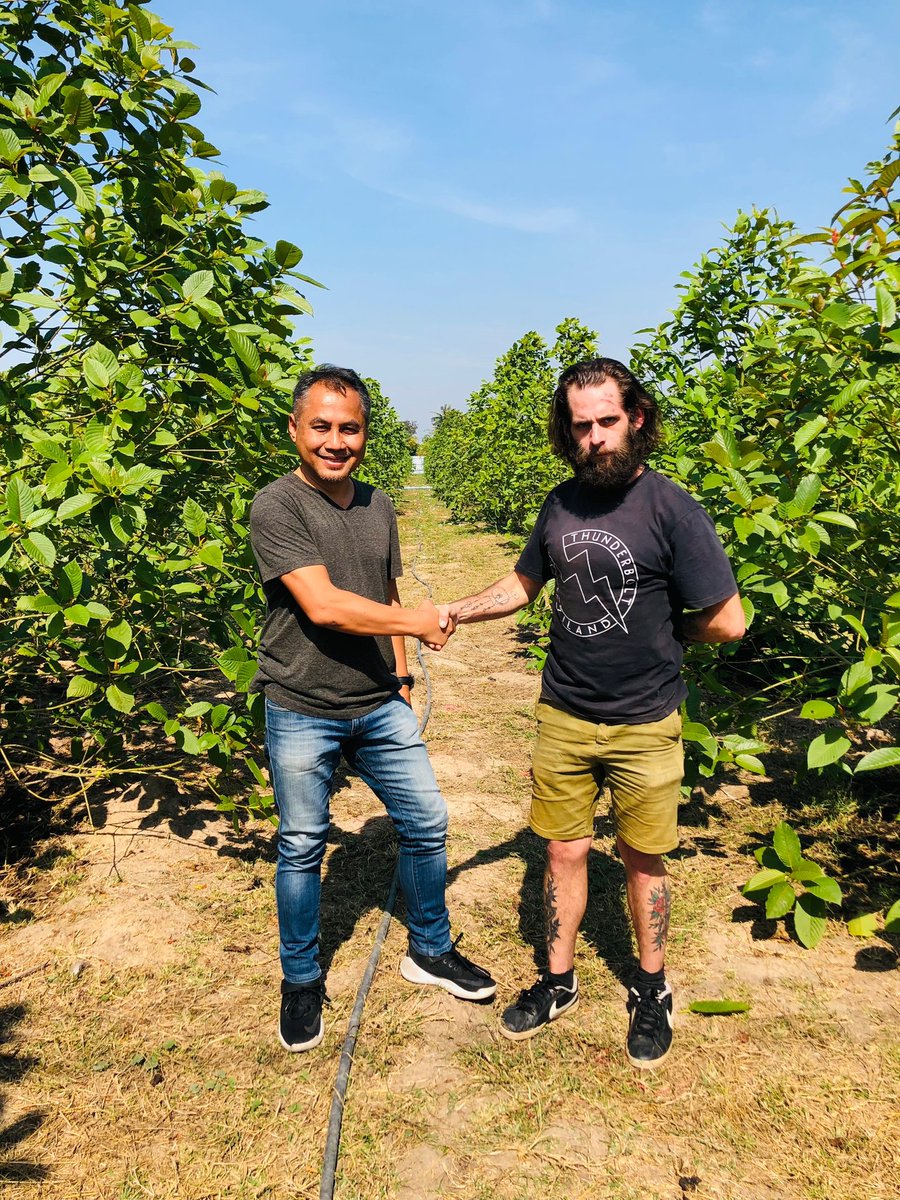 jordanjcurl's tweet photo. Making friendships with Kratom for love! https://t.co/Bxlc5dIoOk