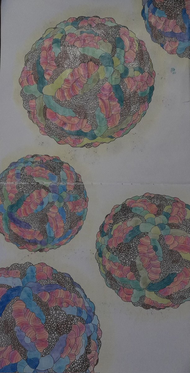 NotAPrimeNumber's tweet photo. Finally finished #colouring Rabies lyssavirus!
Now back to the Eukaryotes with Euglena.
#MicroscopicMarvels #MicroMarvels #microbiology #relax #CalmAfterTheStorm https://t.co/UOacjJrxsq