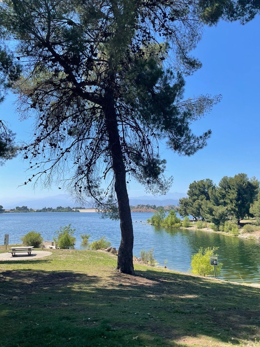 MoeAmatsuka105's tweet image. #notesinspiration #mydaily #mydaya #LA
#LosAngeles #park #LosAngeleslife #sunanythingisbettersunbathing #simple #pleasure #dailyfragments #dayPiecesofEverydayLife #happymomentsineverydaylife