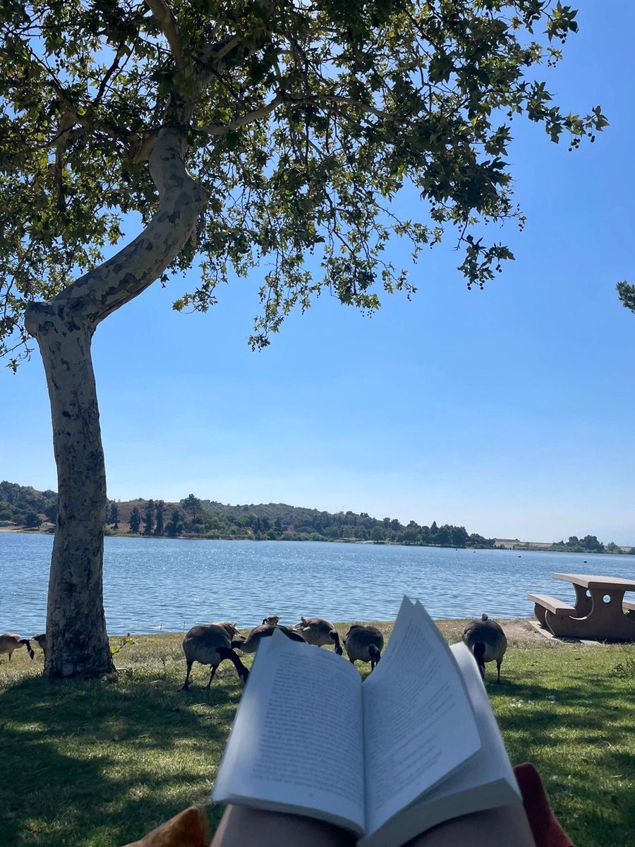 MoeAmatsuka105's tweet image. #notesinspiration #mydaily #mydaya #LA
#LosAngeles #park #LosAngeleslife #sunanythingisbettersunbathing #simple #pleasure #dailyfragments #dayPiecesofEverydayLife #happymomentsineverydaylife