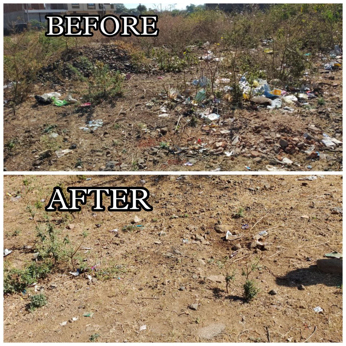 saini__123's tweet photo. #SafaiAbhiyanAtRajasthanToday Dera Sacha Sauda volunteers are doing #SafaiAbhiyanAtRajasthan. They are doing so following his Guru Saint Gurmeet Ram Rahim Ji. This is the #GiftOfCleanliness to Rajasthan and inspiration to world.
#WeekendInRajasthan https://t.co/z8vaNVpSvd
