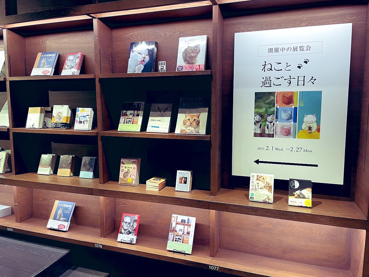 「2/1〜2/27までの間、梅田蔦屋書店さんにて、企画「ねこと過ごす日々」が開催さ」|カマノレイコのイラスト