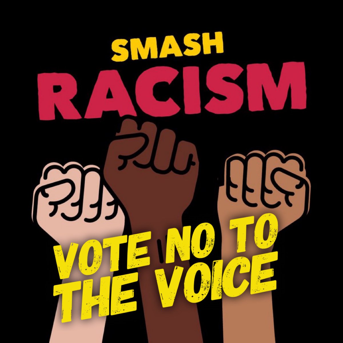 Say no to dividing Australians by race 

#VoteNo to the voice 

#auspol
